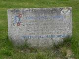 image of grave number 300525
